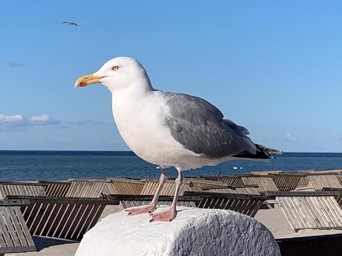 Fewo Lust Auf Laboe Zewnętrze zdjęcie